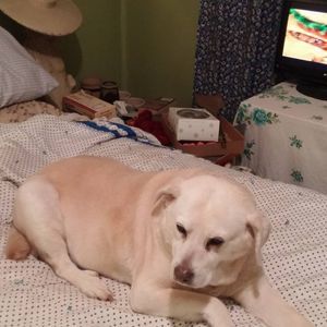 Meet your Posher, Georgia